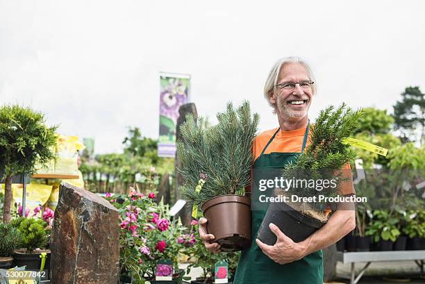 male gardener holding plant pots and smiling, augsburg, bavaria, germany - gärtnerei stock-fotos und bilder