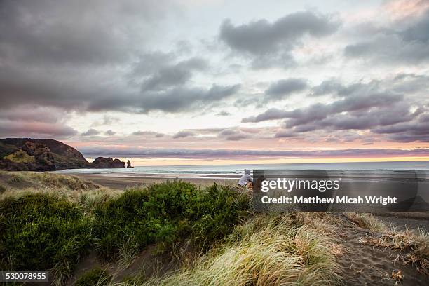 a girl and dog at the surf beach of piha. - new zealand beach stock pictures, royalty-free photos & images