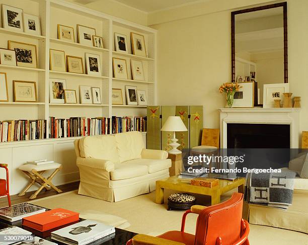 130 Partition Bookshelf Stock Photos, High-Res Pictures, and Images ...