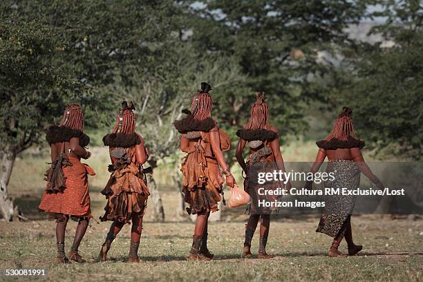 group of himba women walking away, rear view, namibia, africa - himba stock-fotos und bilder