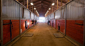 Center Path Through Horse Paddock Equestrian Ranch Stable