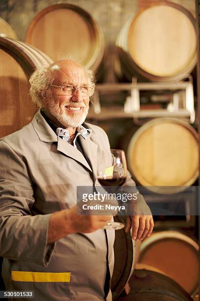 alter mann mit bart und hält ein glas rotwein - producent stock-fotos und bilder