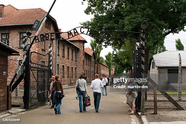 auschwitz camp - auschwitz bildbanksfoton och bilder