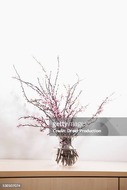 glass vase with plum blossoms still life - plommonträdsblommor bildbanksfoton och bilder