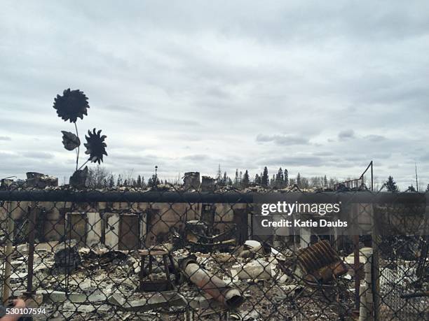 Wildfire devastation as shown from a media tour.