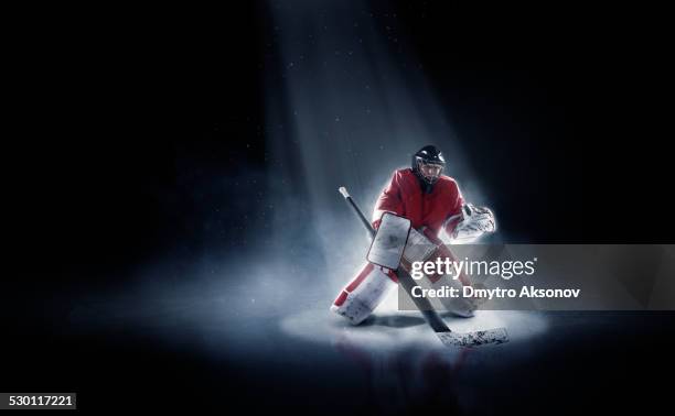 goleiro de hóquei no gelo - ice hockey goaltender - fotografias e filmes do acervo