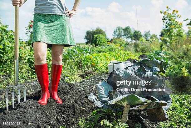 woman vegetable garden fork harvest gumboots - pitchfork stock pictures, royalty-free photos & images