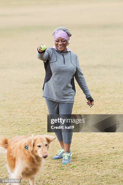 african american woman with golden retriever playing fetch - old golden retriever stock pictures, royalty-free photos & images