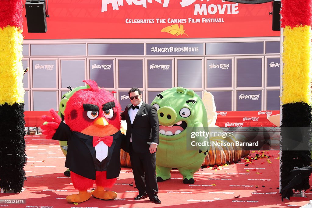 "The Angry Birds Movie" Photocall - The 69th Annual Cannes Film Festival