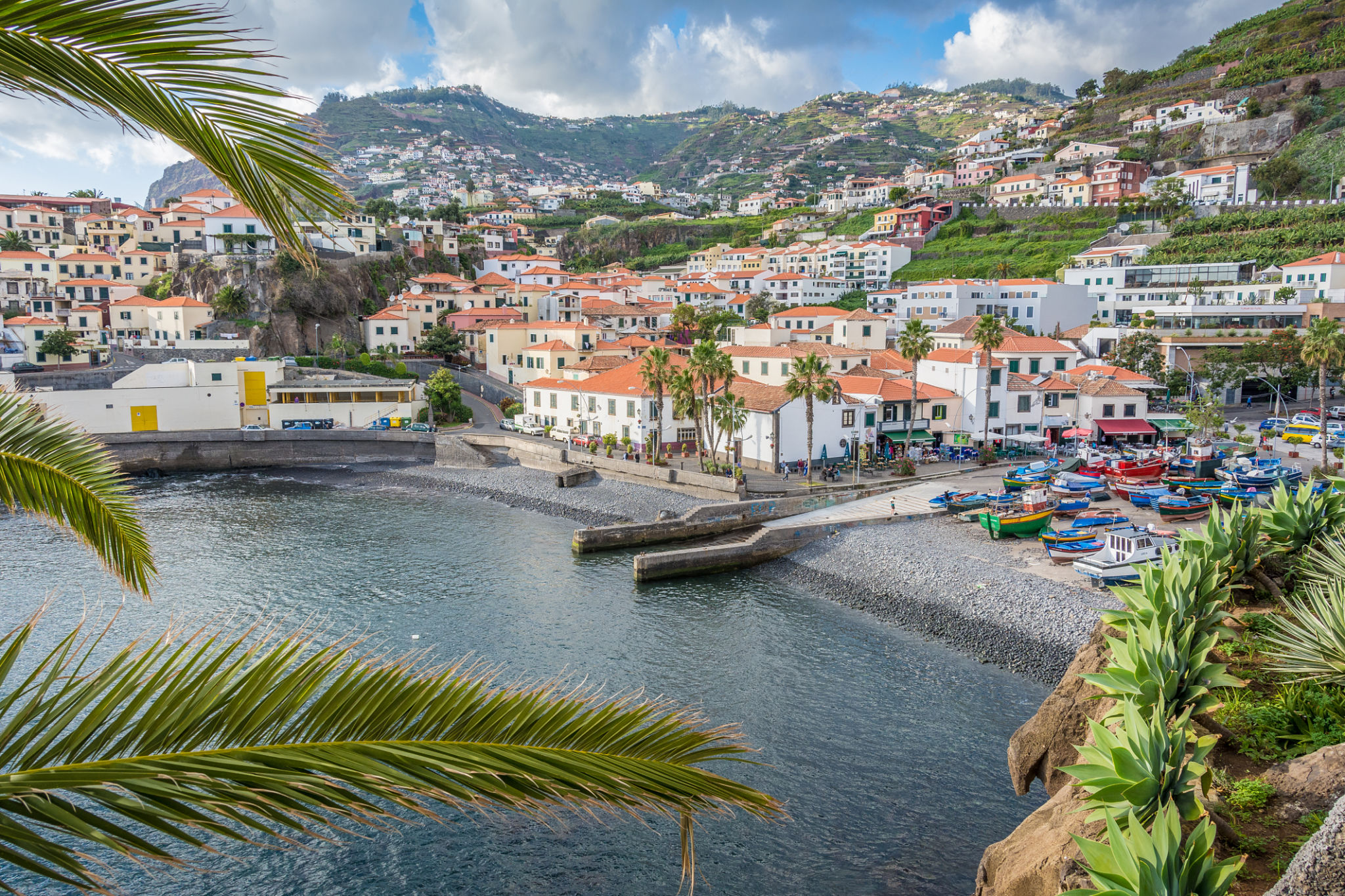 Camara de lobos fishing village - near Funchal, Madeira Camara de lobos fishing village - near Funchal, Madeira
