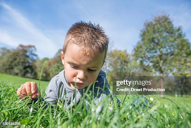 small boy grass meadow concentration serious - entdeckung stock pictures, royalty-free photos & images