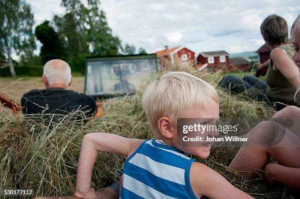boy sitting on hay on tractor trailer - dalarna bildbanksfoton och bilder