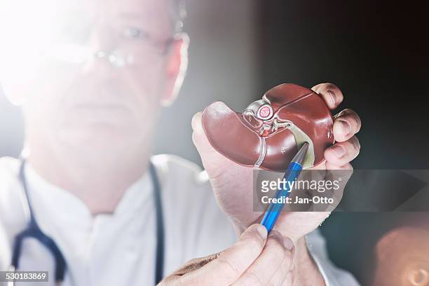 doctor pointing at gall bladder - cancer illness stock pictures, royalty-free photos & images