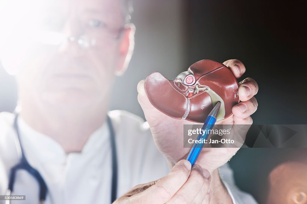 Doctor pointing at gall bladder
