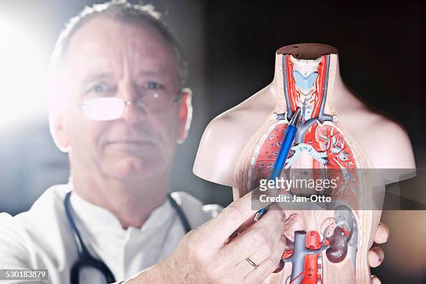 mature doctor pointing at thyroid gland - schildklier stockfoto's en -beelden