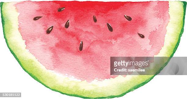 aquarell wassermelone slice - melone stock-grafiken, -clipart, -cartoons und -symbole