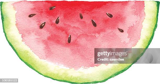 watercolor watermelon slice - serving size stock illustrations