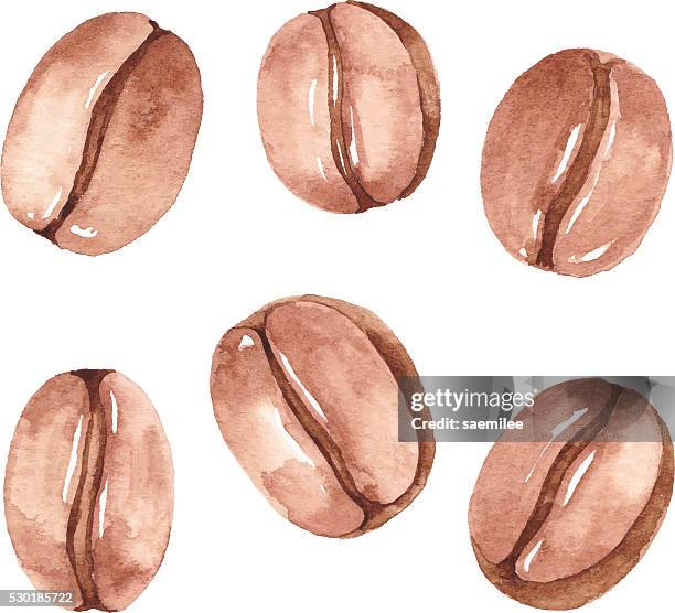 ilustraciones, imágenes clip art, dibujos animados e iconos de stock de acuarela conjunto de granos de café - café edificio de hostelería