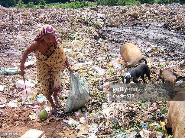 An Indian woman collects plastic for recycling from a municipal dump at Hafani near Agartala, the capital of India's northeastern state of Tripura,...