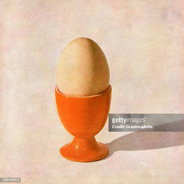 Vintage children's still life of a cooked egg set in an egg cup , 1947. This is print in a series of 20 by an unknown photographer.