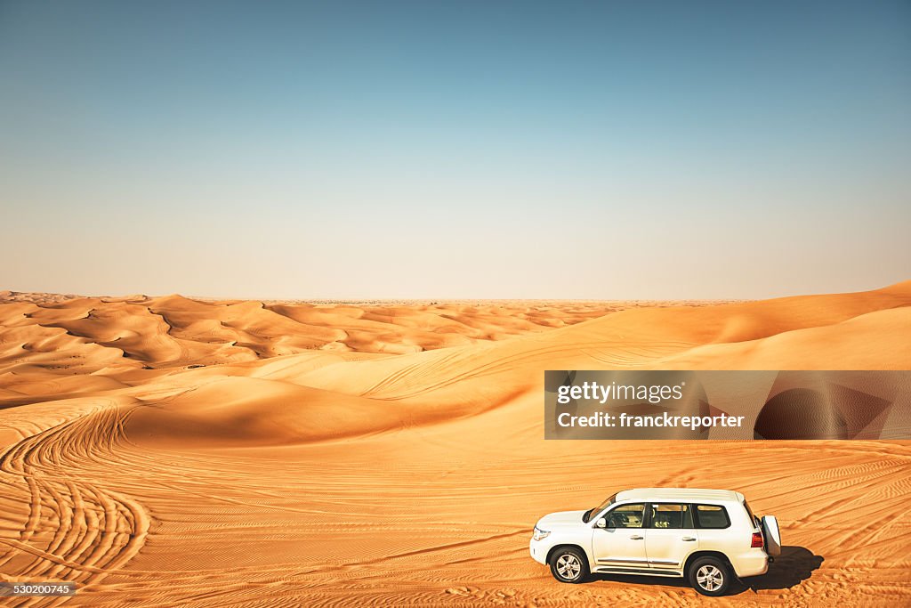 Sahara desert landscape aerial view