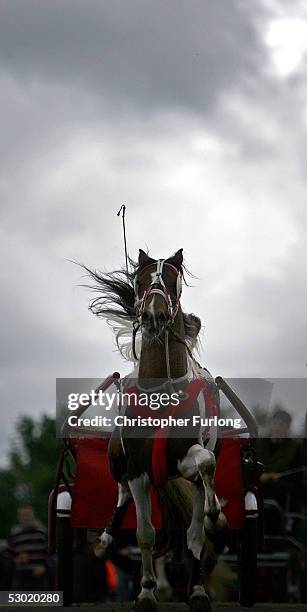 Man rides a horse down the street at the Appleby Horse Fair June 4, 2005 in Appleby-in-Westmorland, England. Appleby Horse Fair has existed under the...