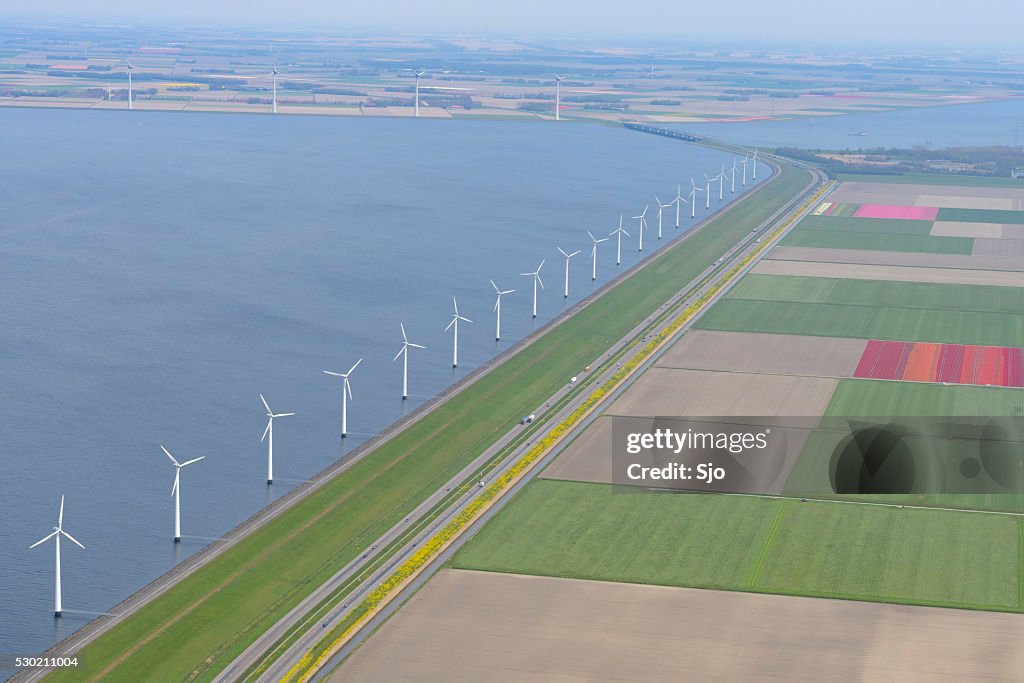 Aerial view on wind turbines with fields of tulip flowers