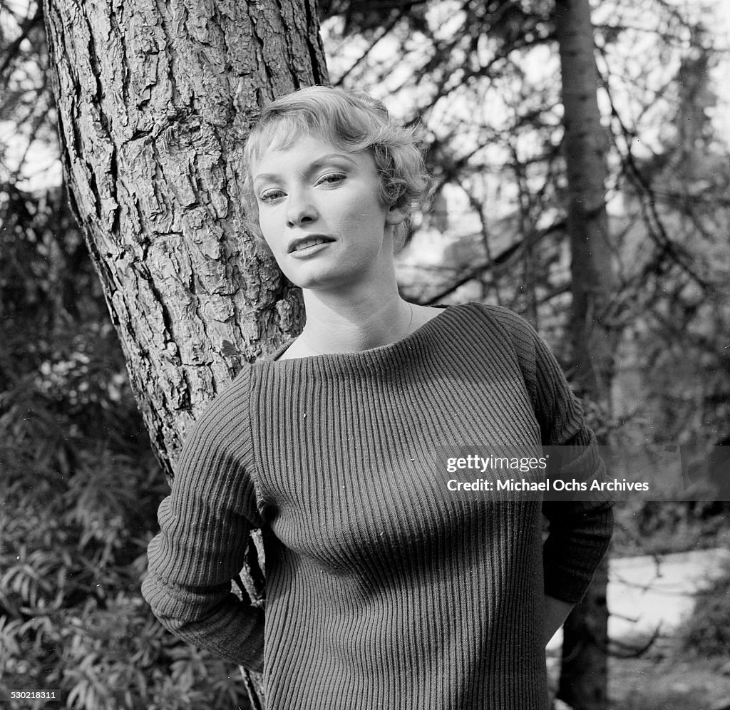 Actress Fay Spain poses at home in Los Angeles,CA. News Photo - Getty ...