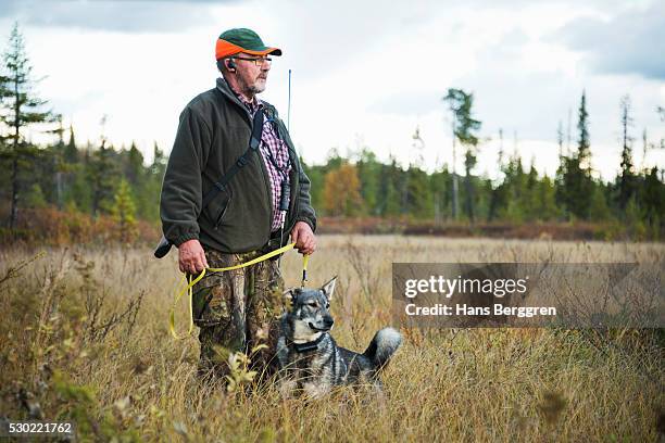 senior man hunting with dog - norwegian elkhound stock pictures, royalty-free photos & images