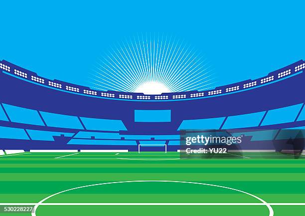 stockillustraties, clipart, cartoons en iconen met soccer / football stadium - werper