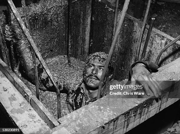 602 Sam Wanamaker Photos & High Res Pictures - Getty Images