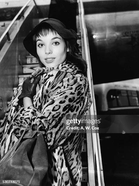 Portrait of actress Elsa Martinelli, wearing a hat and leopard print coat, as she arrives at London Airport, February 17th 1956.