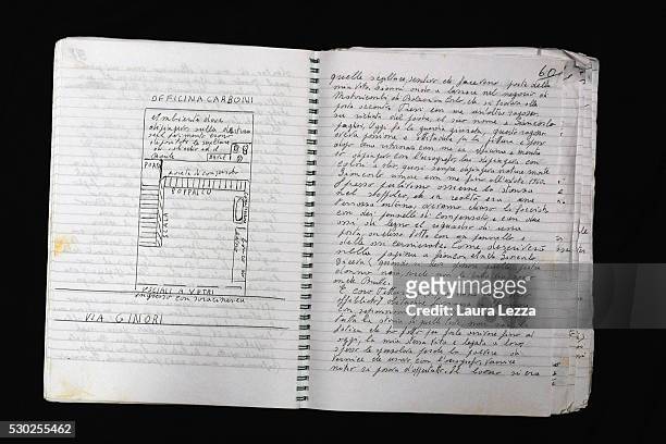Piero Carboni's diary where it is contained the story of the discovery of the heads that are belived to be attributed to Amedeo Modigliani is...