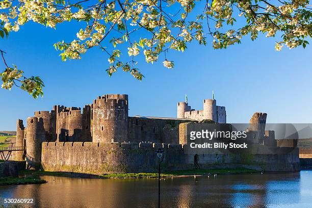 caerphilly castle, gwent, wales, united kingdom, europe - castello di caerphilly foto e immagini stock