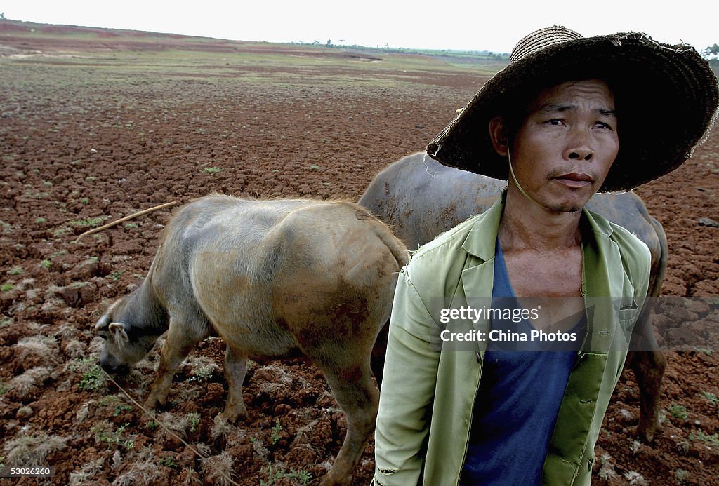 Worst Drought In 50 Years Hit Western Guangdong Province