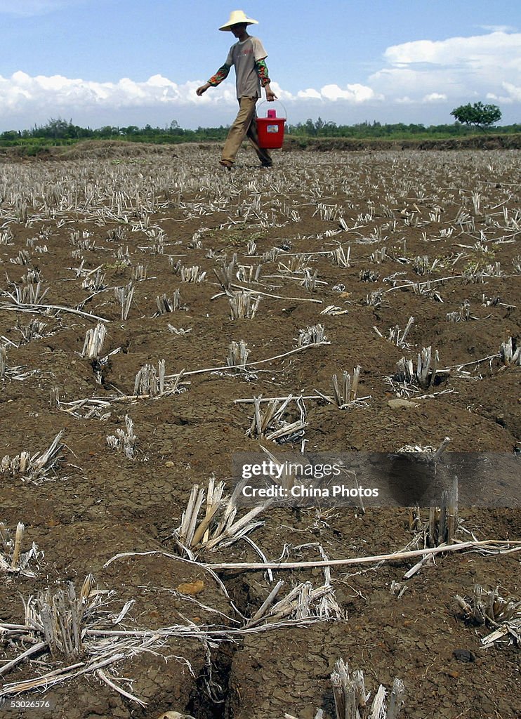 Worst Drought In 50 Years Hit Western Guangdong Province