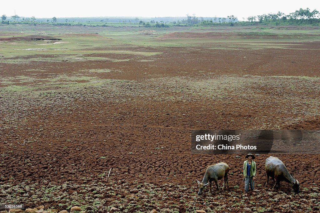 Worst Drought In 50 Years Hit Western Guangdong Province