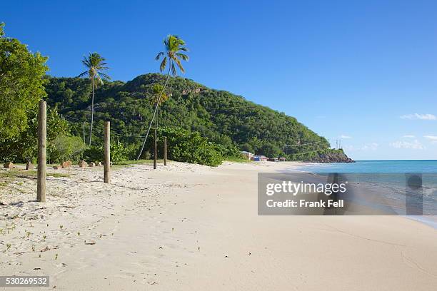 darkwood beach, st. johns, antigua, leeward islands, west indies, caribbean, central america - darkwood beach foto e immagini stock