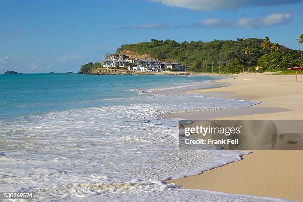 darkwood beach, st. johns, antigua, leeward islands, west indies, caribbean, central america - darkwood beach foto e immagini stock