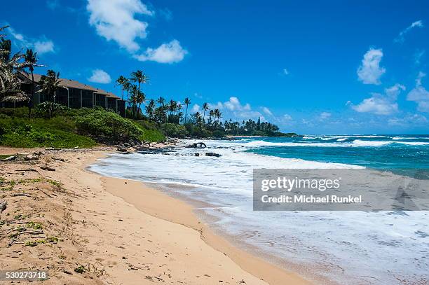 sandy beach on kapaa beach park on the island of kauai, hawaii, united states of america, pacific - kapaa beach park stock-fotos und bilder