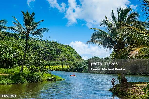 Hawaii Rivers Wailua River Photos and Premium High Res Pictures - Getty Images