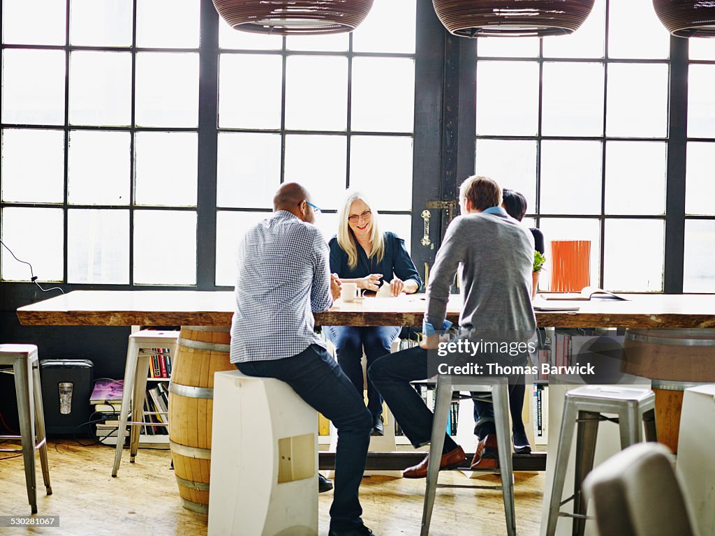 Mature businesswoman leading project meeting