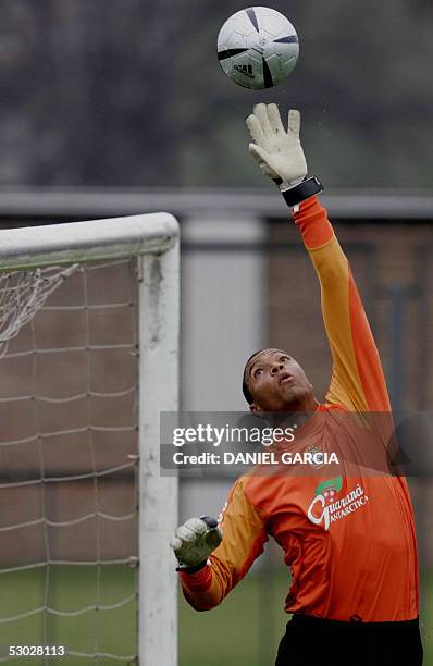 El arquero de Brasil Dida toca la pelota por sobre el travesano el 06 de junio de 2005 en Buenos Aires durante el entrenamiento de los arqueros y los...