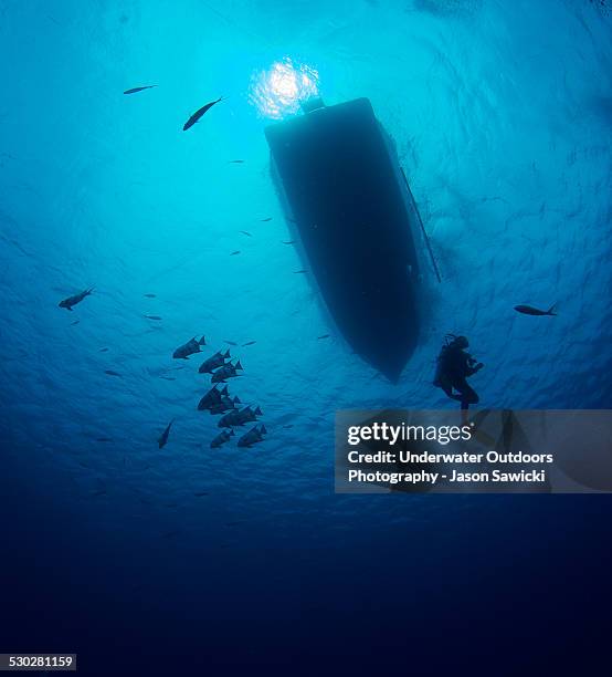 diver on ascent - providenciales stock pictures, royalty-free photos & images