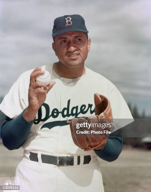 Don Newcombe of the Brooklyn Dodgers poses for a portrait during a season game. Don Newcombe played for the Brooklyn Dodgers from 1949-1957.