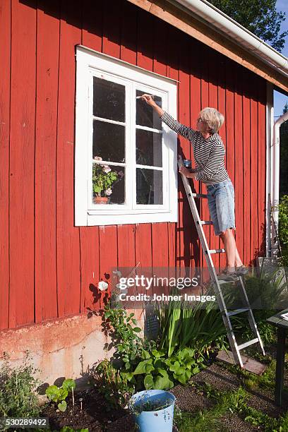 woman painting window - cottage window stock pictures, royalty-free photos & images