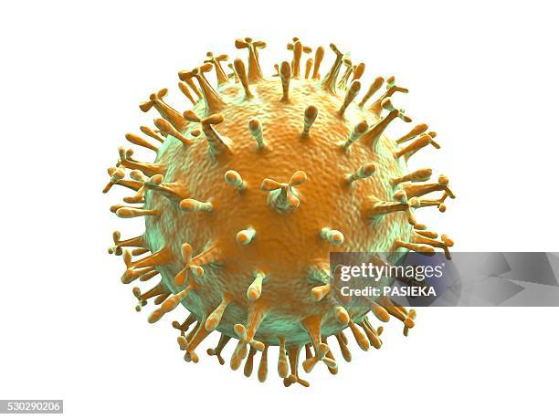 computer artwork of a generic virus particle, depicting virus types like corona, bird flu, aids, influenza, swine flu and herpes. - síndrome respiratorio por coronavirus de oriente medio fotografías e imágenes de stock