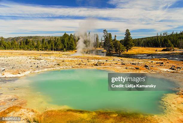 Black Rosta Spring 220 Black Rock Hot Springs Stock Photos, High-Res Pictures, and Images ...