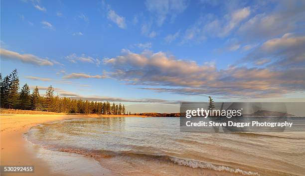 emily bay, norfolk island - norfolk island stock-fotos und bilder