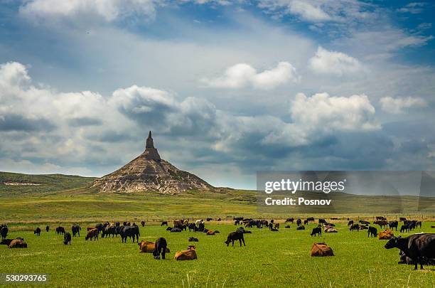 chimney rock nhs - local histórico nacional de chimney rock imagens e fotografias de stock